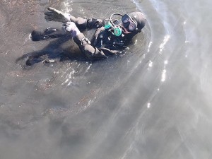 Surface swimming through the brown water