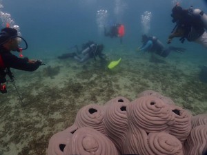 Artificial reef