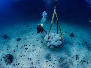 Artificial reef