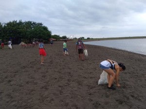 Resultados visibles 