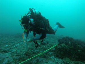 tecnica de nado para no alterar fondo marino