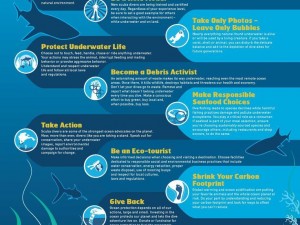 XTC follow the 10 Tips for Divers