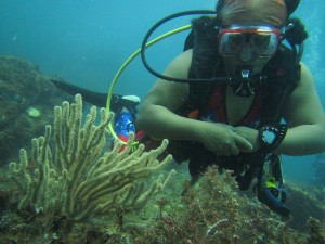 Claudia Talamantes identificando especies de abanicos de mar