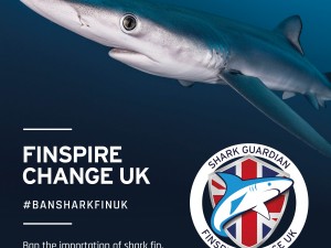 Ban shark fin UK