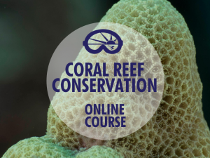 Coral-Reef-Conservation-Online-Course