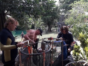 sorting and documenting trash