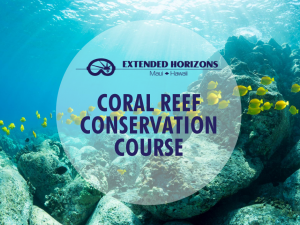 Coral-Reef-Conservation-Online-Course