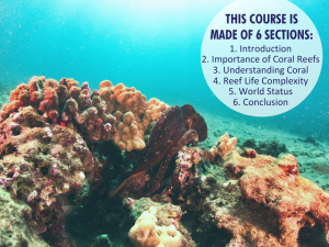 Coral-Reef-Conservation-Online-Course