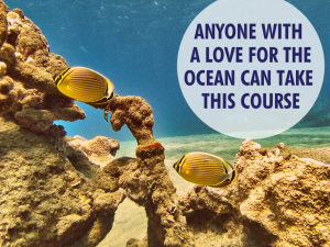 Coral-Reef-Conservation-Online-Course