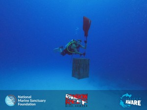 Diver carrying Lobster Trap Underwater with Lift Bag 