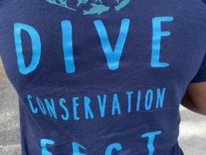 Dive and Conservation Fest with Eco Dive 