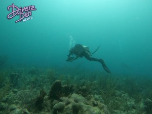 diver swimmimg away over the reef