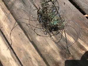 fishing lines 