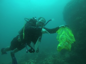 Diver collecting waste