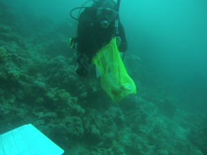 diver clean under water