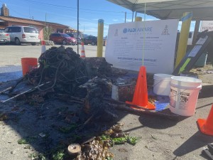 Alternative view of the pile of rubble