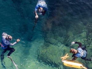 checking the seabed for the scuba divers 