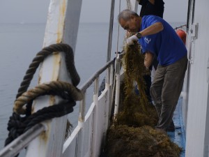 fishing nets