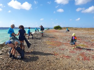 Junior Rangers in action.