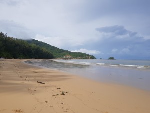 Nai Yang beach clean up