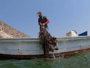 Ghost net getting pulled up by boat crew