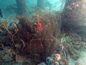 Ghost Fishing Net