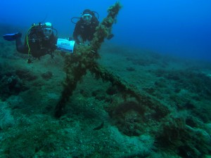 °Divers4SharksNRays Isola D'Elba