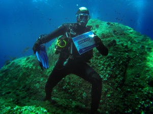 °Divers4SharksNRays Isola D'Elba