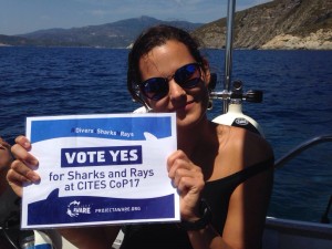 °Divers4SharksNRays Isola D'Elba