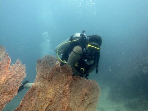 Diving near Phuket, Thailand