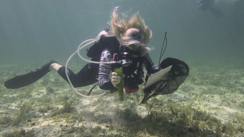 Scuba Diver removing debris