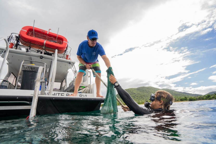 Dive Against Debris Survey