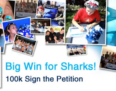 Big Win for Sharks! Petition Hits 100K