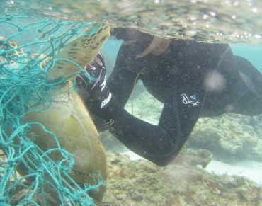 Fifty Metric Tons of Marine Debris from Northwestern Hawaiian Islands