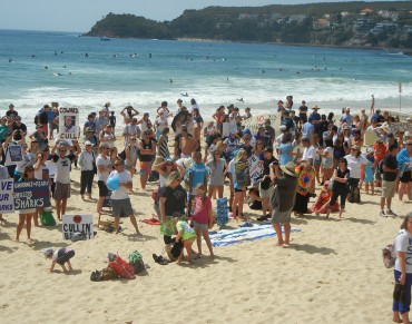 Outrage over EPA shark-cull decision