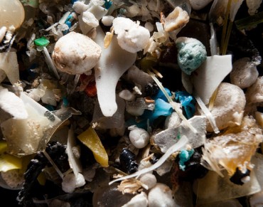 On World Oceans Day, New UN Report Recommends Ban of Microplastics in Cosmetics 