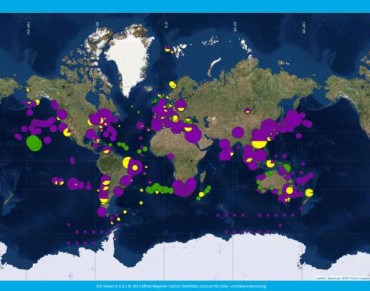 Litter is Present Throughout the World's Oceans: 1,220 Species Affected