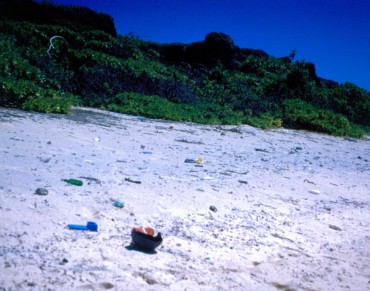 UNESCO World Heritage Site Is Most Polluted Island