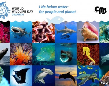 World Wildlife Day 2019