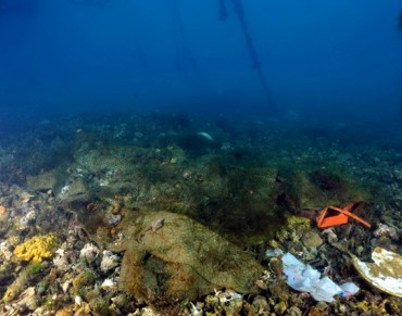 Plastic Waste Causes Financial Damage of US$13 Billion to Marine Ecosystems Each Year as Concern Grows Over Microplastics 