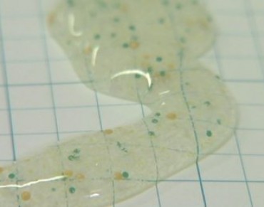 Act on Microbeads or I'll ban Them, Australia's Environment Minister Warns Cosmetic Companies