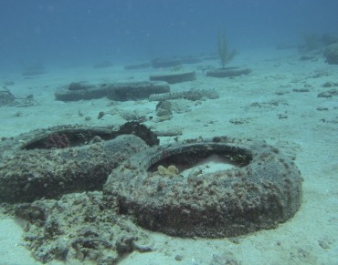Pollution and Overfishing are Public’s Biggest Marine Concerns