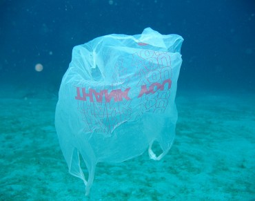 Plastic Bag Charge or Ban 'Could Cut Use in Europe by 80%'