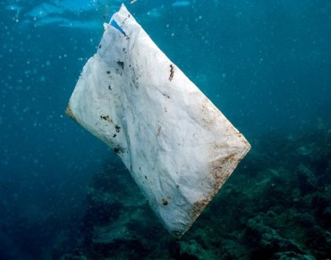 Plastic Found in a Sixth of Pelagic Fish in Mediterranean
