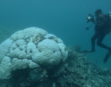 Australia Scientists Alarmed at New Great Barrier Reef Coral Bleaching