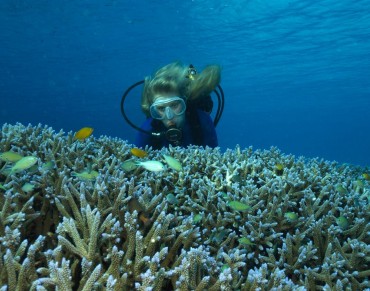 World's oceans in 'shocking' decline