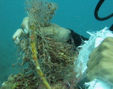 Scientists Discover Thriving Colonies of Microbes in Ocean 'Plastisphere'