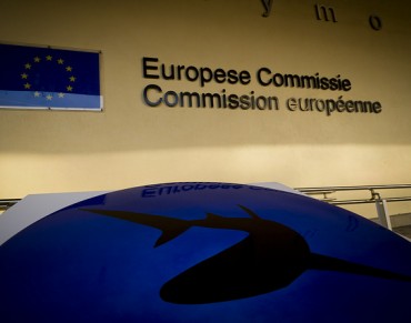 MEPs Must Back "Bold Step" to Ban Shark Finning