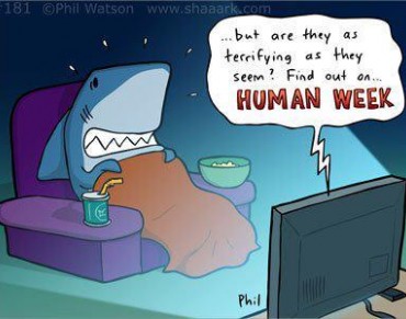 Every Week is Shark Week at Project AWARE