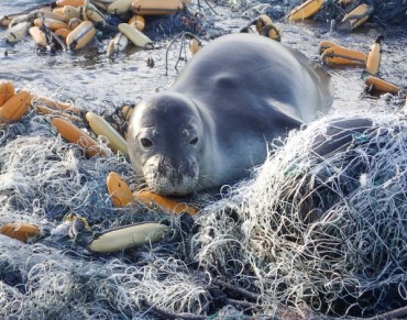 What We Know About "Ghost Fishing"